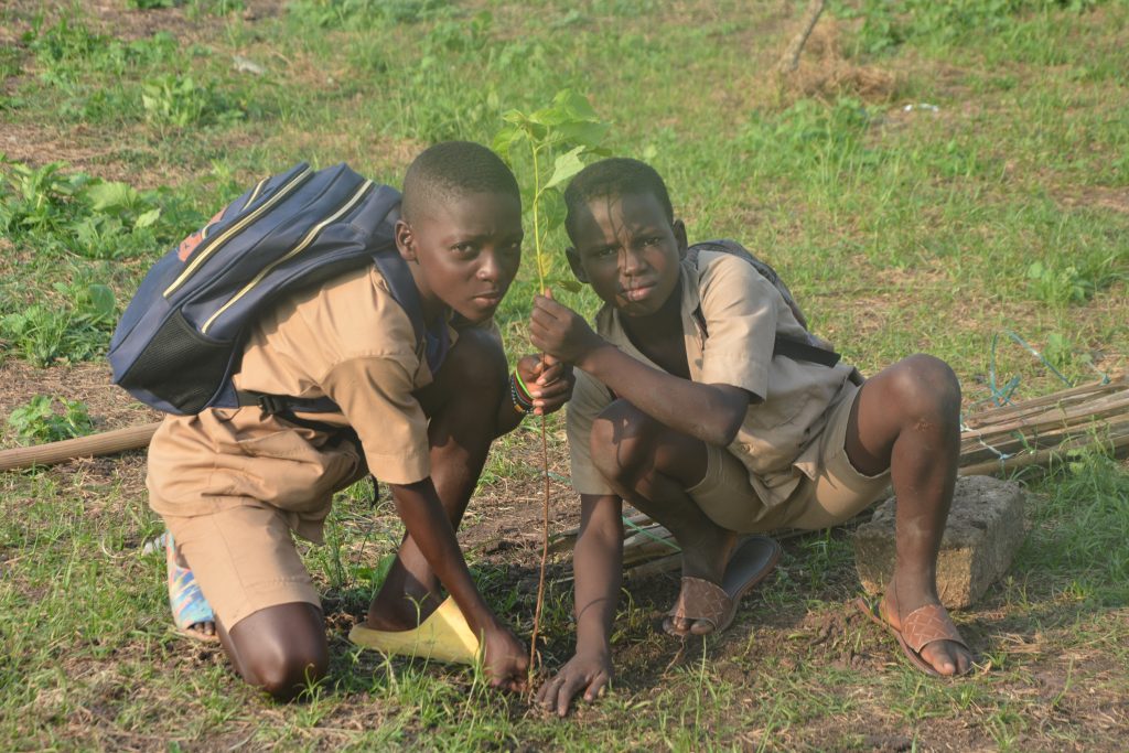 Jeunes élèves entrain de planter un arbre dans le cadre de l'éducation environnementale en milieu scolaire