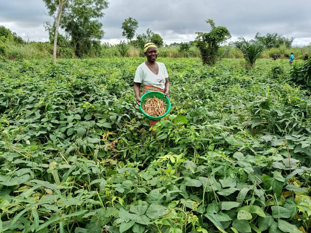 Femme noire agricultrice dans son jardin de haricot tenant un échantillon de sa récolte
